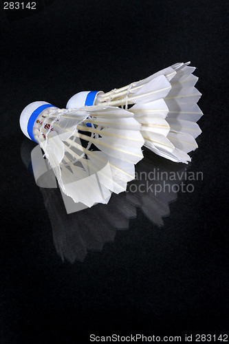 Image of Shuttlecock and badminton