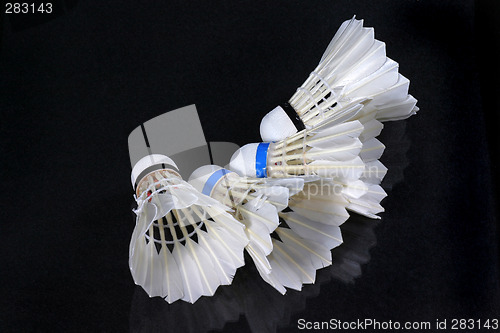 Image of Shuttlecock and badminton