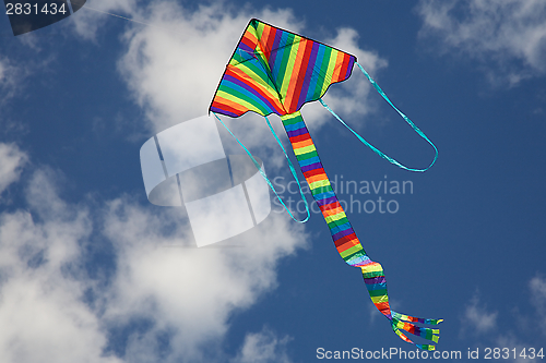 Image of Kite Flying Bright Colours