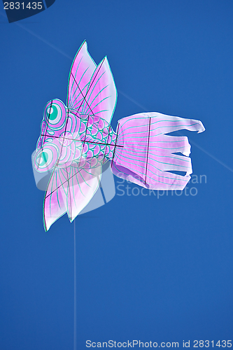 Image of Kite flying 