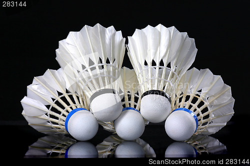 Image of Shuttlecock and badminton