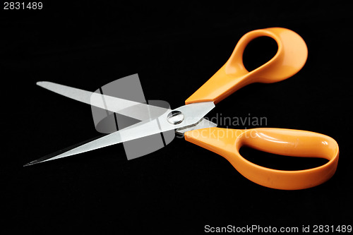 Image of Scissors