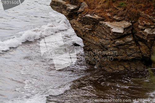 Image of The sea