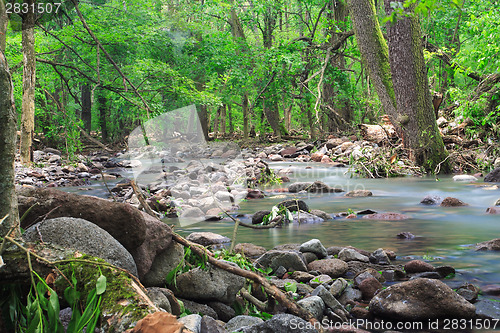 Image of Waterfall