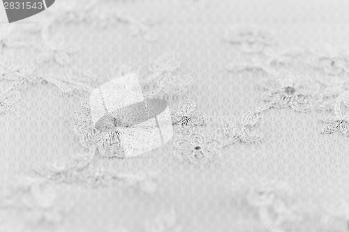 Image of Beautiful lace