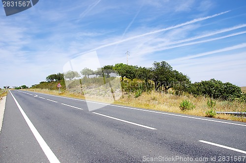 Image of Country road in Alentejo,south of Portugal 