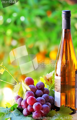 Image of Grapes and wine bottle