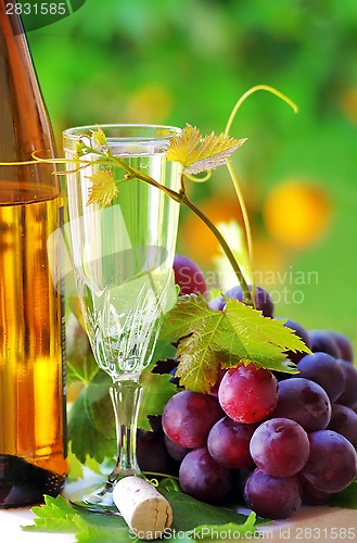 Image of Glass and bottle of alvarinho wine