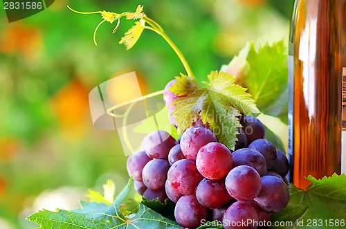 Image of bottle of wine with grapes