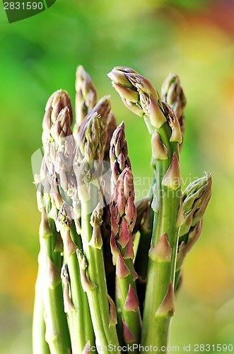 Image of Green asparagus 