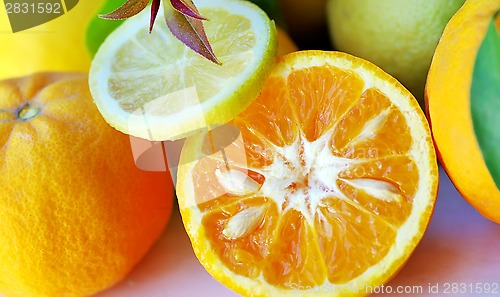 Image of  background of  Lemon and orange slices