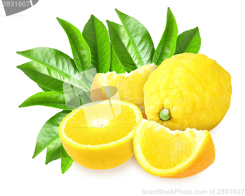 Image of Fresh yellow lemons with green leaf