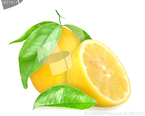 Image of Yellow lemons with green leaf