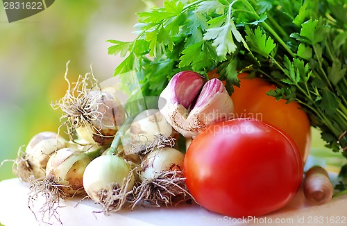 Image of Tomato, garlic and fresh vegetables