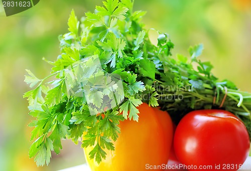 Image of Aromatic herb, tomato and yellow pepper