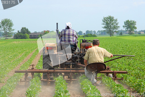 Image of Farmers working