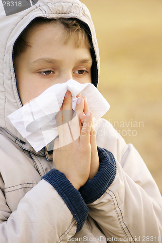 Image of Sniffles