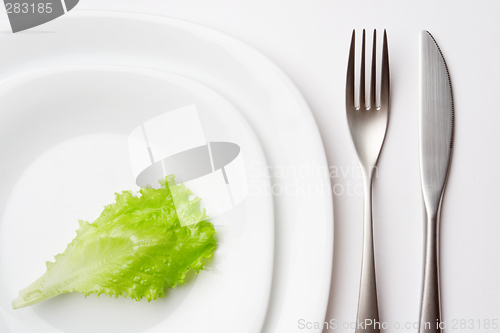 Image of place setting with lettuce leaf