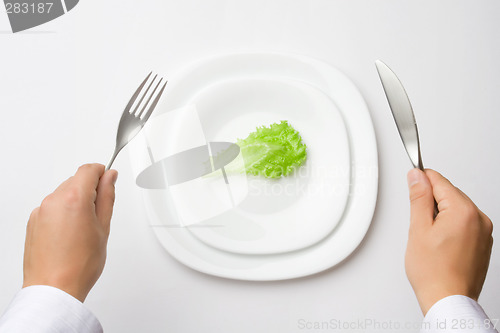 Image of on a diet