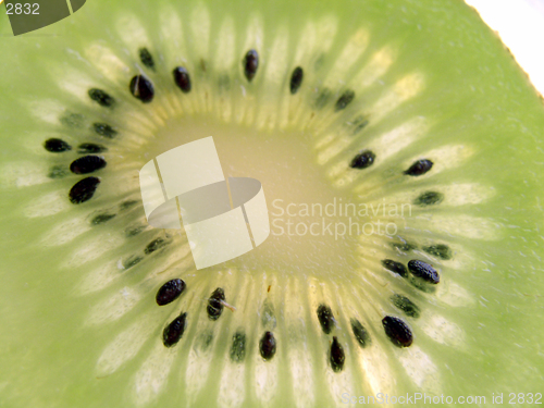 Image of Kiwi slice