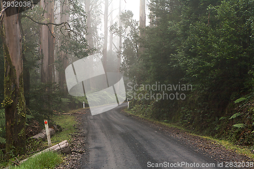 Image of Curved Road With Road Markers Journey Road