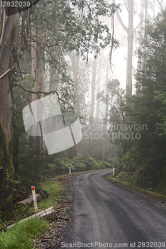 Image of Curved road 
