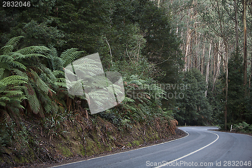 Image of Curved road 