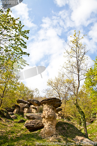 Image of Imaginative forest landscape