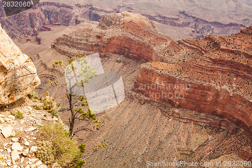 Image of Grand Canyon