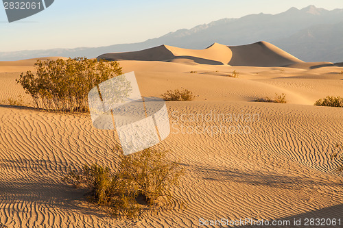 Image of Death Valley Desert