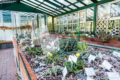 Image of Cactus greenhouse