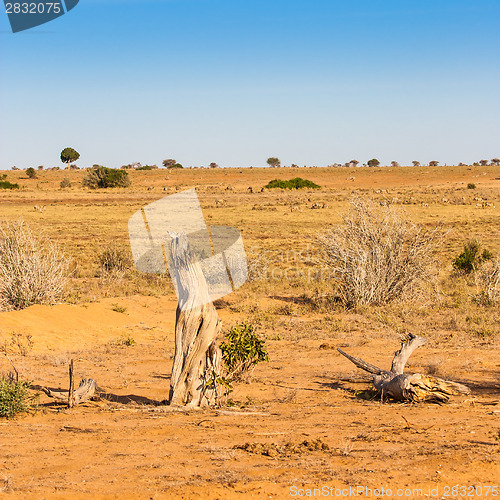 Image of Adventure in Kenya