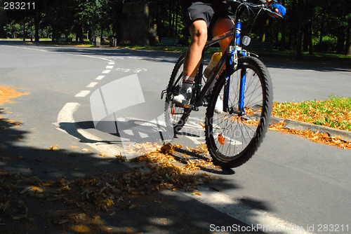 Image of Summer cycling