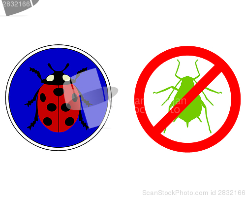 Image of Aphid ladybird traffic signs