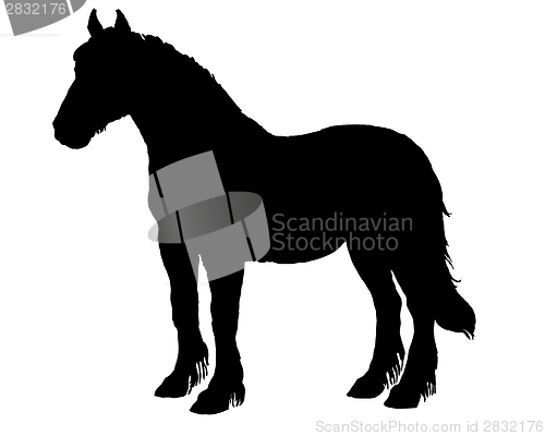 Image of Horse Silhouette