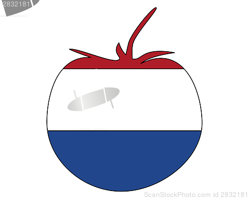 Image of Dutch tomato