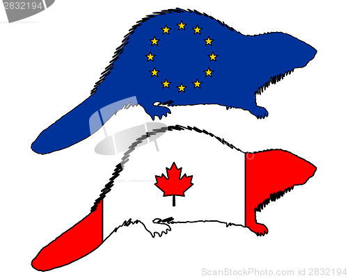 Image of European and canadian beaver