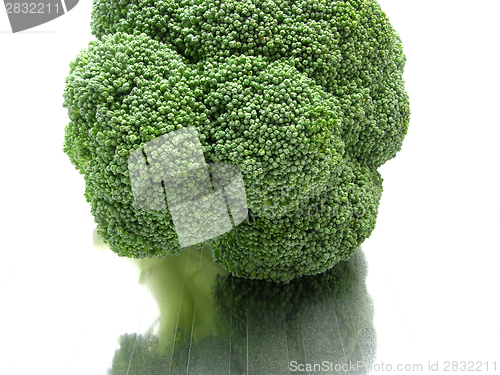 Image of Background picture as close-up view on broccoli