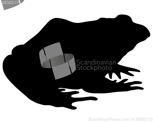 Image of Bullfrog silhouette