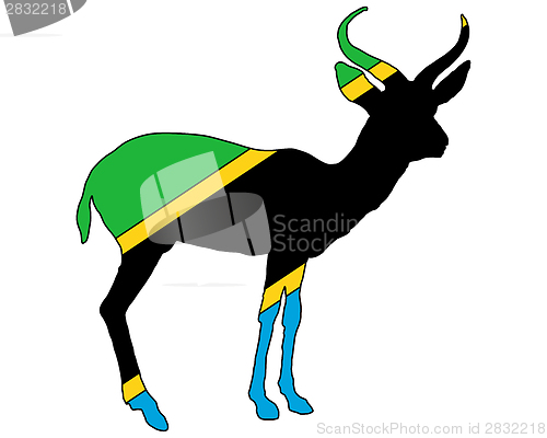 Image of Tanzania antelope