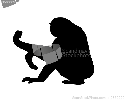 Image of The black silhouette of a gibbon on white