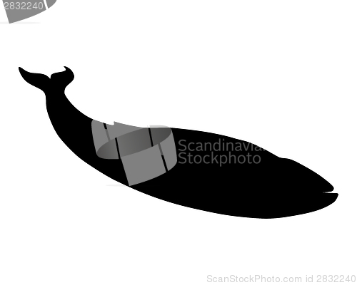 Image of Blue whale silhouette