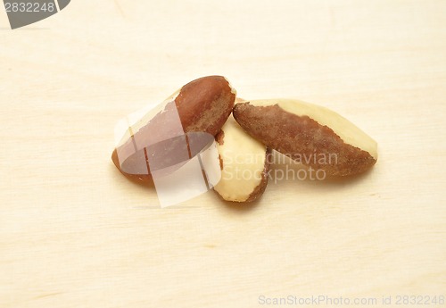 Image of Detailed but simple image of para nut