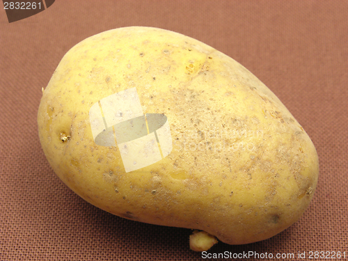 Image of Singel unpeeled potato on a brown background