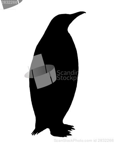 Image of Penguin Silhouette