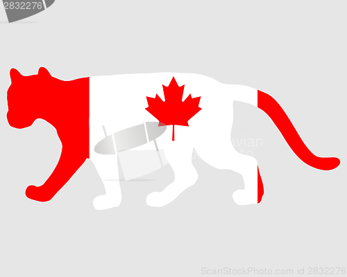 Image of Cougar Canada