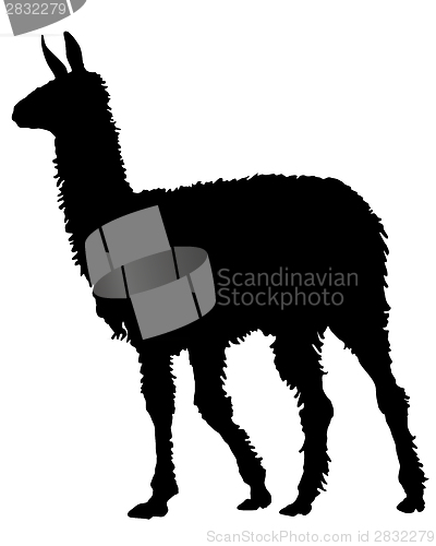 Image of Lama Silhouette