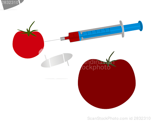 Image of Illustration of genetic engineering of a tomato
