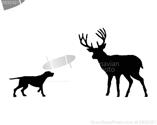 Image of Two animals, setter and deer meet face to face