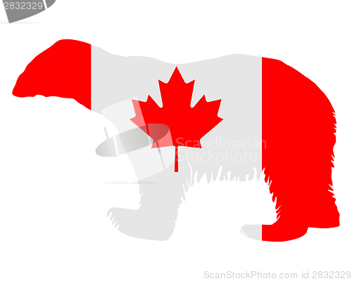 Image of Canadian polar bear